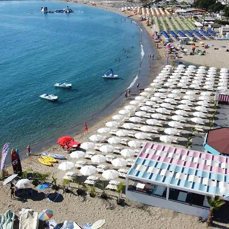 B&B Marranzano-2
